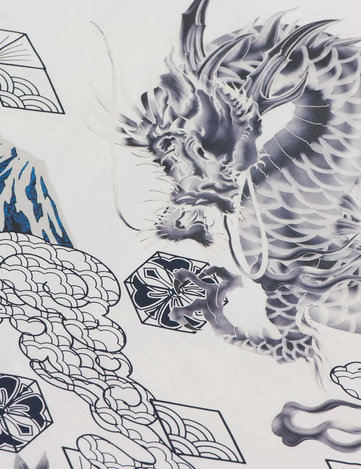 Dragon and Mt. Fuji Print Oxford Shirt
